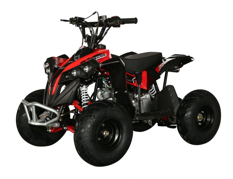 Электроквадроцикл детский MOTAX ATV CAT 1000W Электроквадроцикл детский MOTAX ATV CAT 1000W
